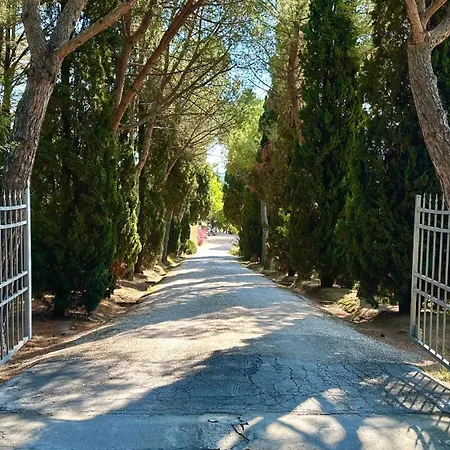 Apartment Se053 - Senigallia, Meraviglioso Trilocale Con Piscina *