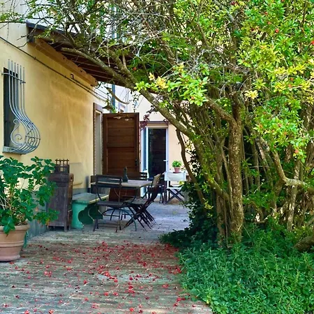 Apartment Se053 - Senigallia, Meraviglioso Trilocale Con Piscina *